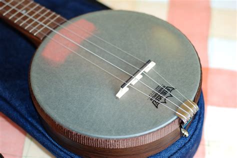 The Fluke Fitefly Banjolele: An Instrument for Self-Expression and Creativity